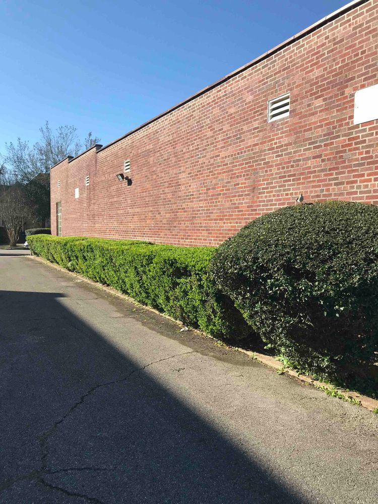Office Building For Sale or Lease: 1890 Broadway St, Beaumont, TX 77701